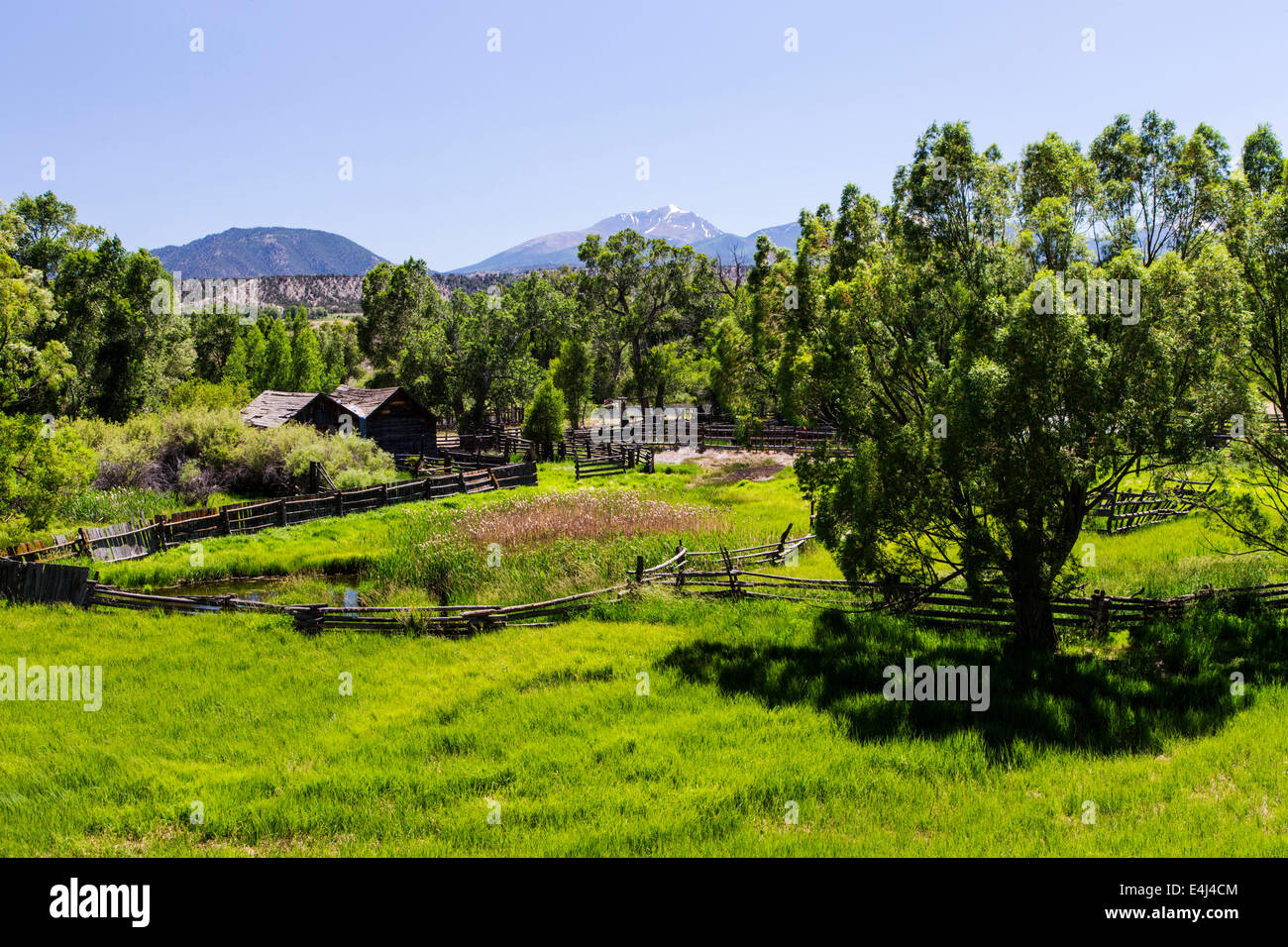 De riches prairies le long de la rivière Arkansas, au-delà des Montagnes Rocheuses du Colorado, USA, Banque D'Images