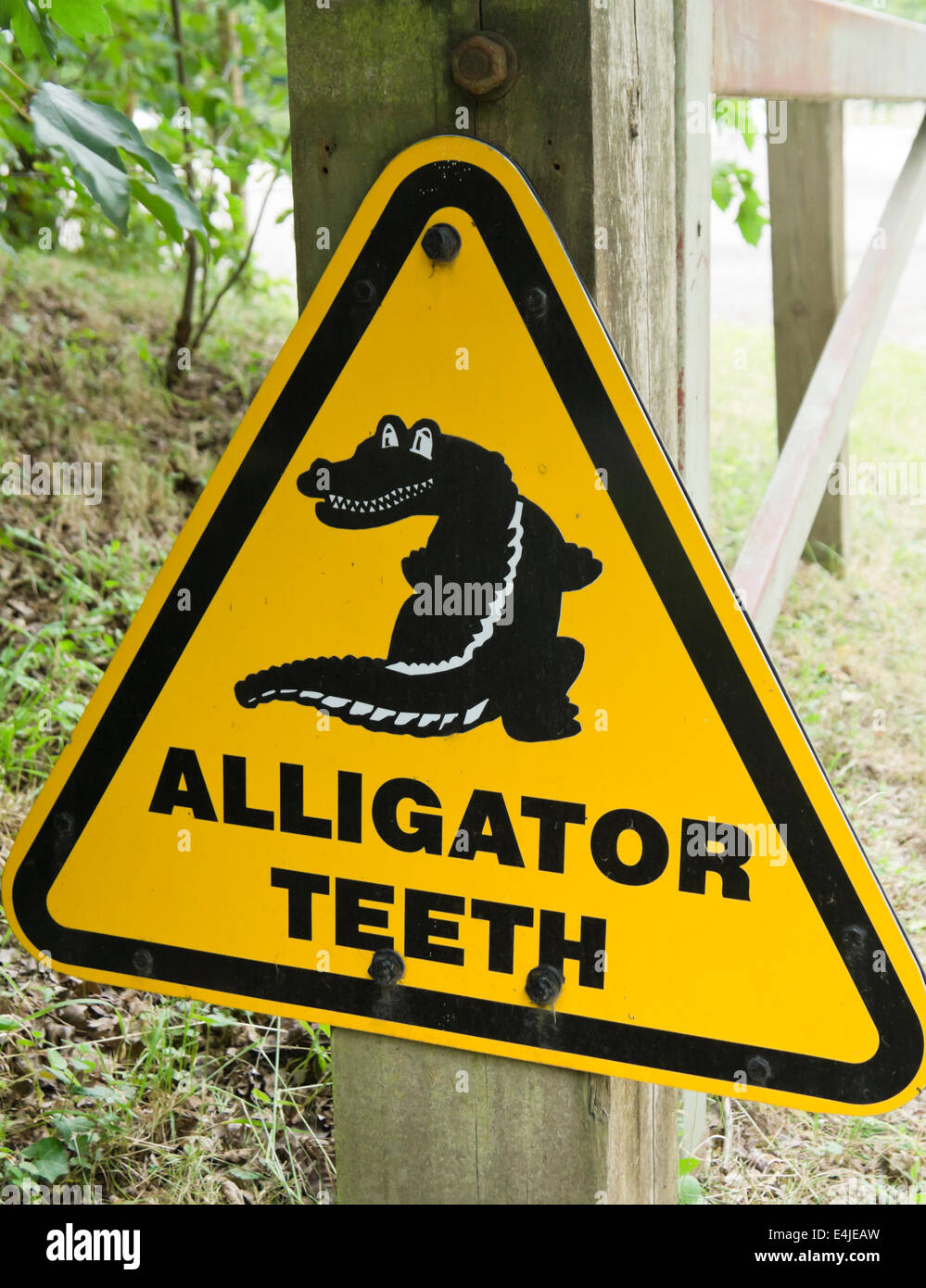 Un signe pour les dents d'Alligator Banque D'Images