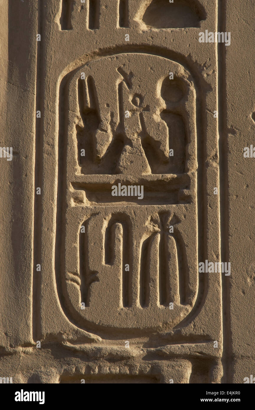 L'écriture hiéroglyphique. Protocole Royal de Ramsès II. Titre cinquième du Pharaon : fils de Ra.19e dynastie (1320-1200 b.C.). Banque D'Images