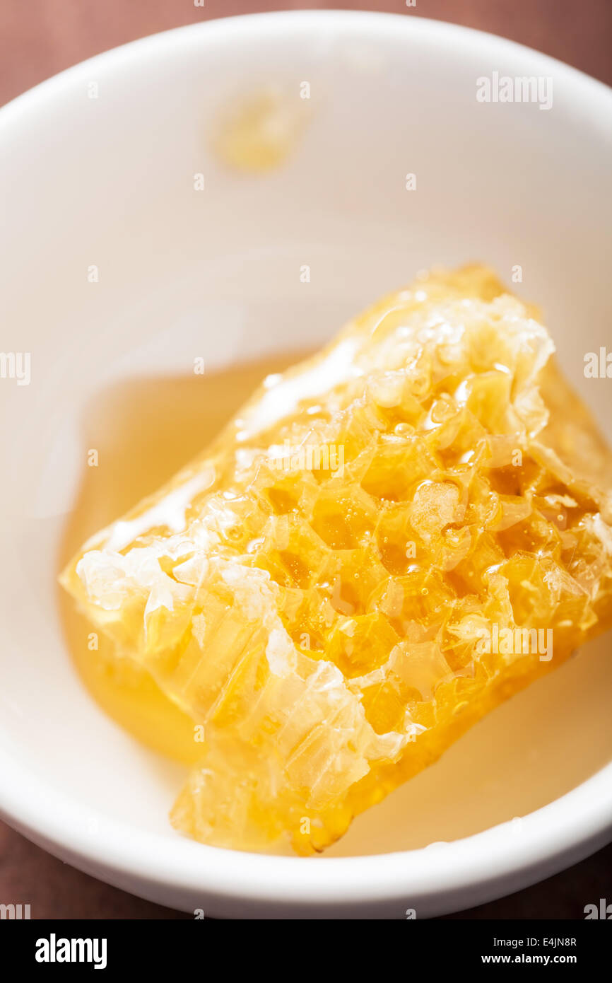 En nid d'bol sur fond de bois Banque D'Images