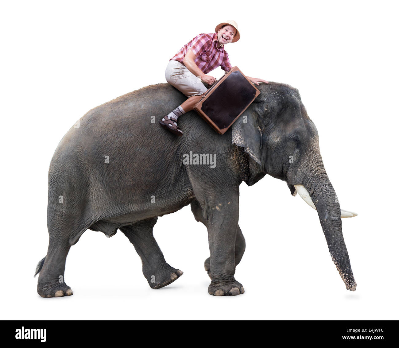 Tourisme gai se déplace sur un éléphant portant une valise Banque D'Images