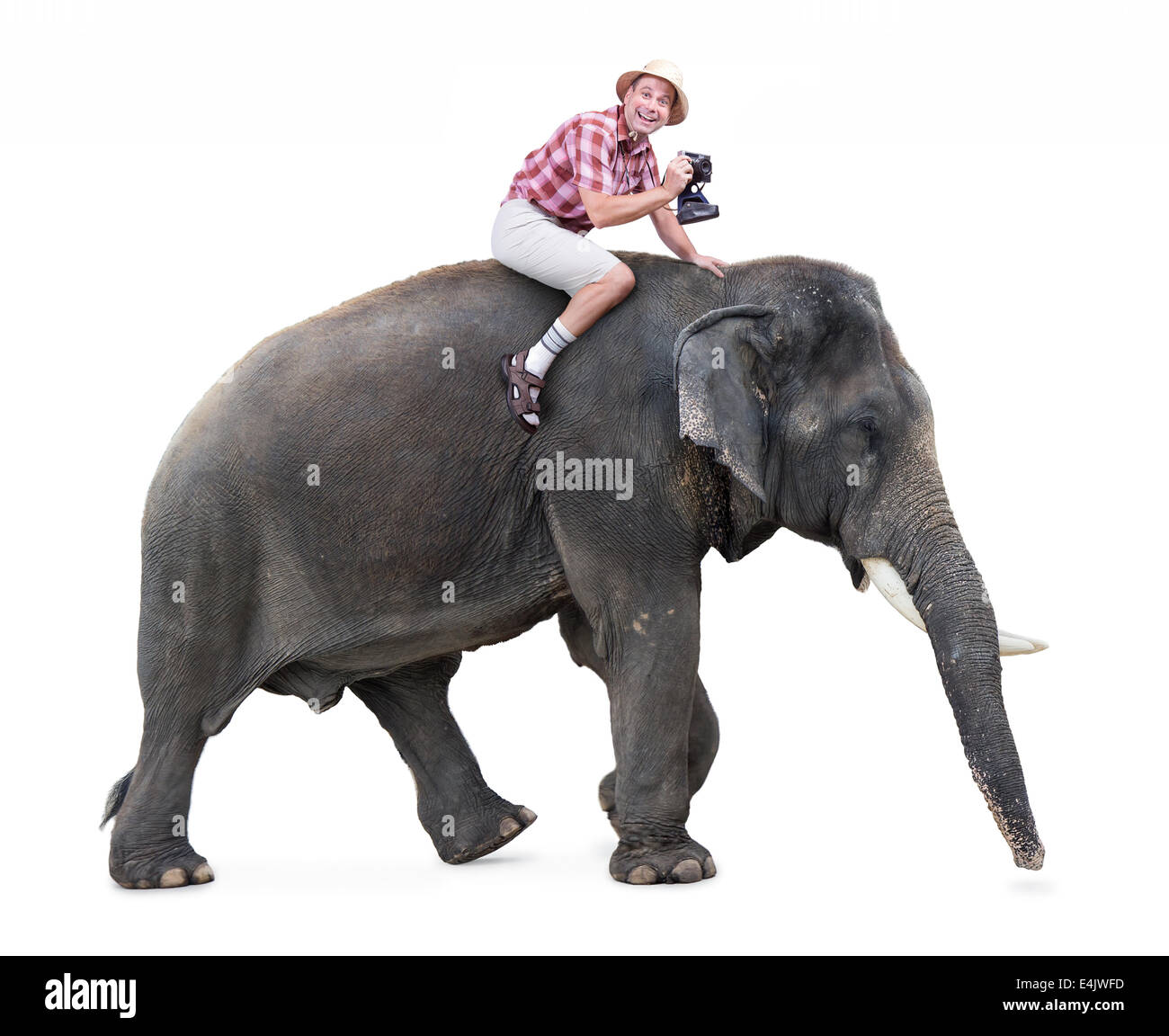 Tourisme gai se déplace sur un éléphant un appareil photo Banque D'Images