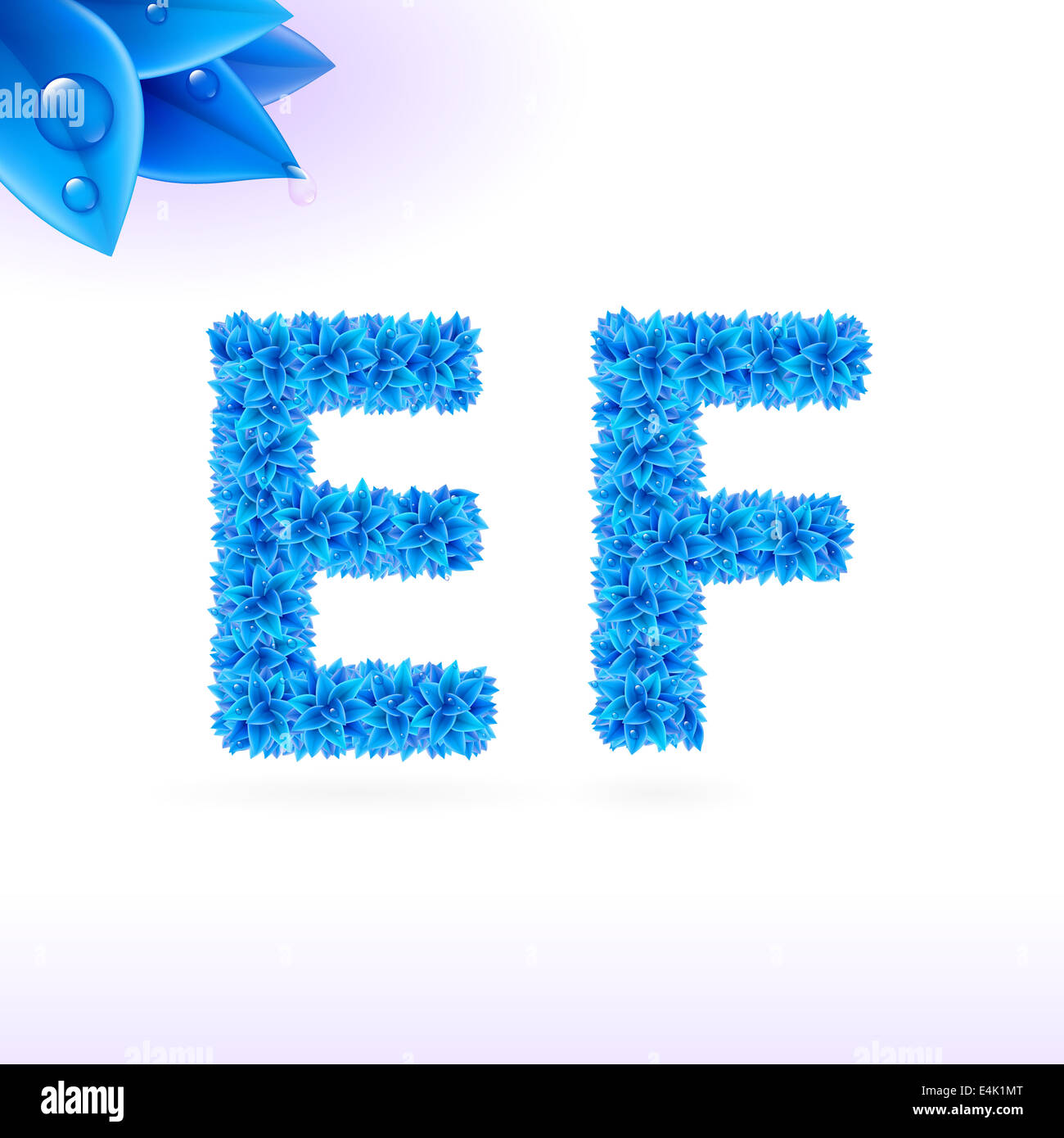 Sans serif avec décoration de feuilles bleu sur fond blanc. Les lettres E et F Banque D'Images
