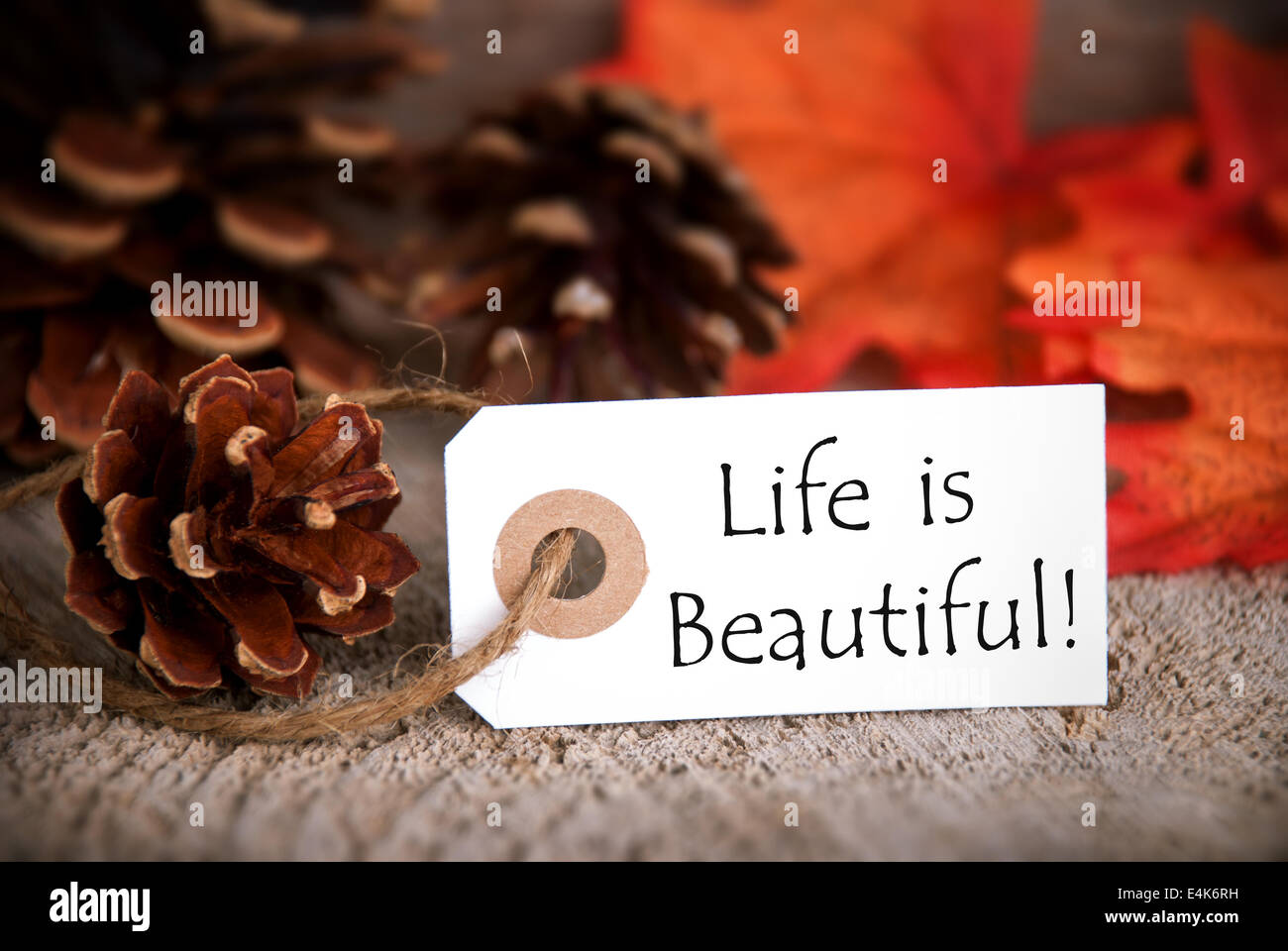 Une étiquette de l'automne avec les mots la vie est belle Banque D'Images