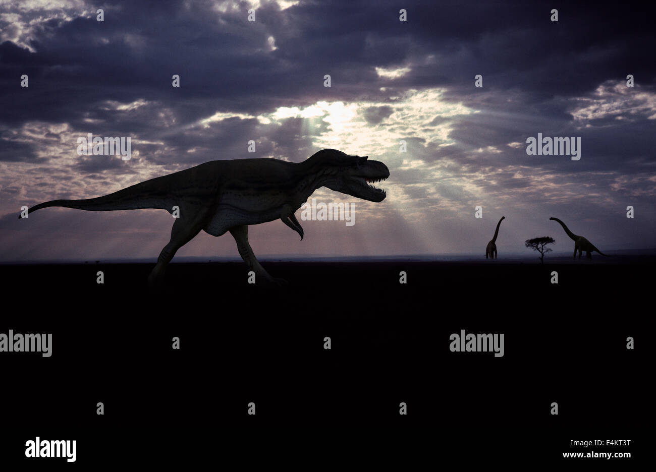 L'Albertosaurus Dinosaure Banque D'Images