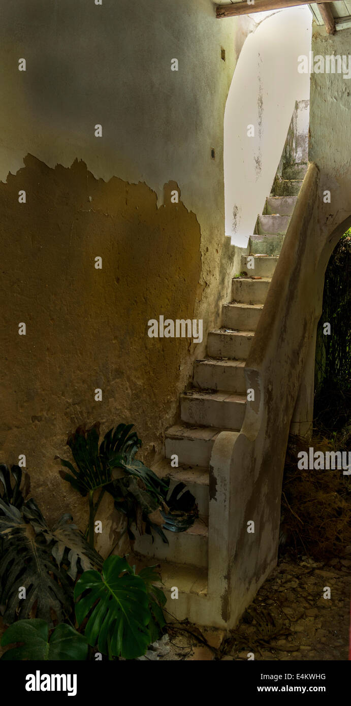 Escalier en pierre situé dans un état Banque D'Images
