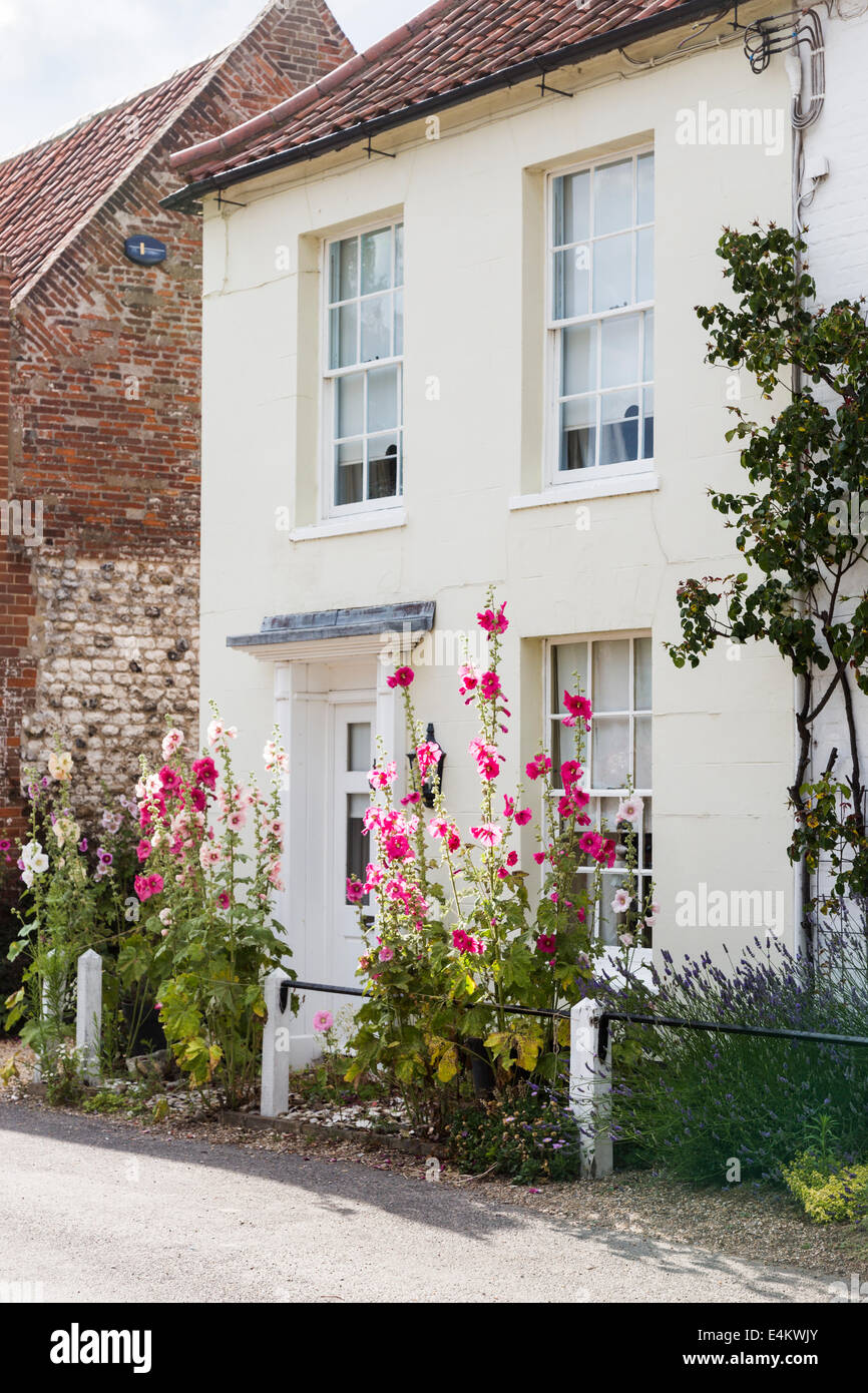 Joli Cottage blanc de roses trémières poussant dans le jardin avant de Burnham Market, une petite ville de North Norfolk Banque D'Images