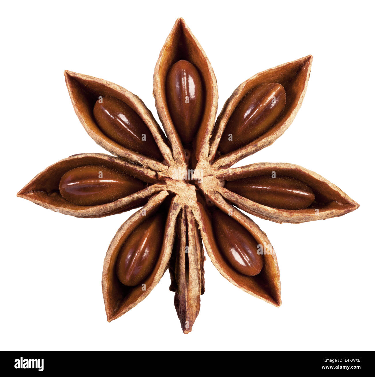 L'anis étoilé isolé sur fond blanc. Clipping Path Banque D'Images