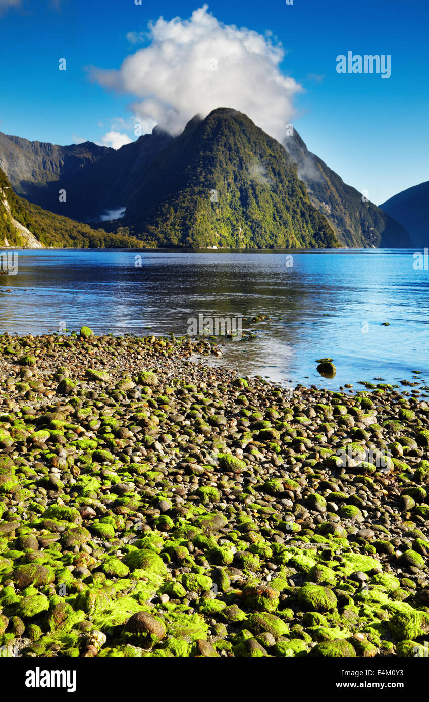 Milford Sound, île du Sud, Nouvelle-Zélande Banque D'Images