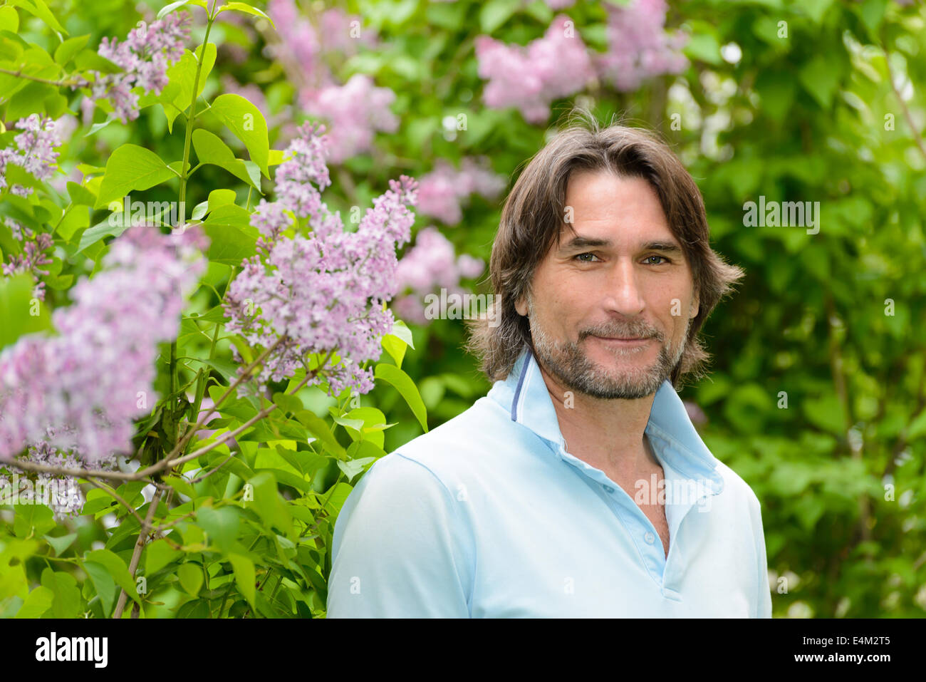 Homme d'âge moyen près de lilas en fleurs Banque D'Images
