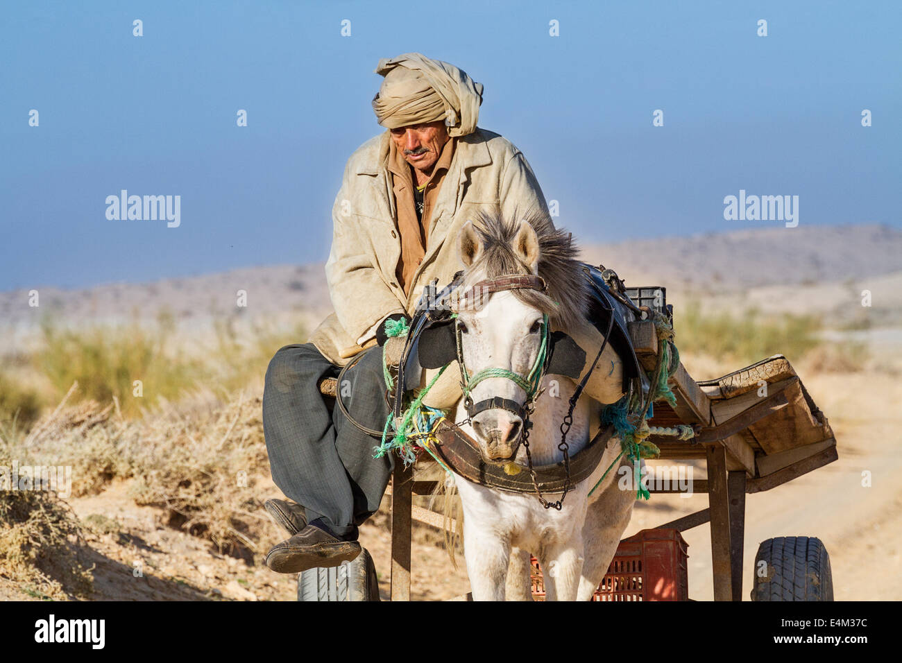 Transport traditionnel dans le désert au sud de Tozeur Banque D'Images