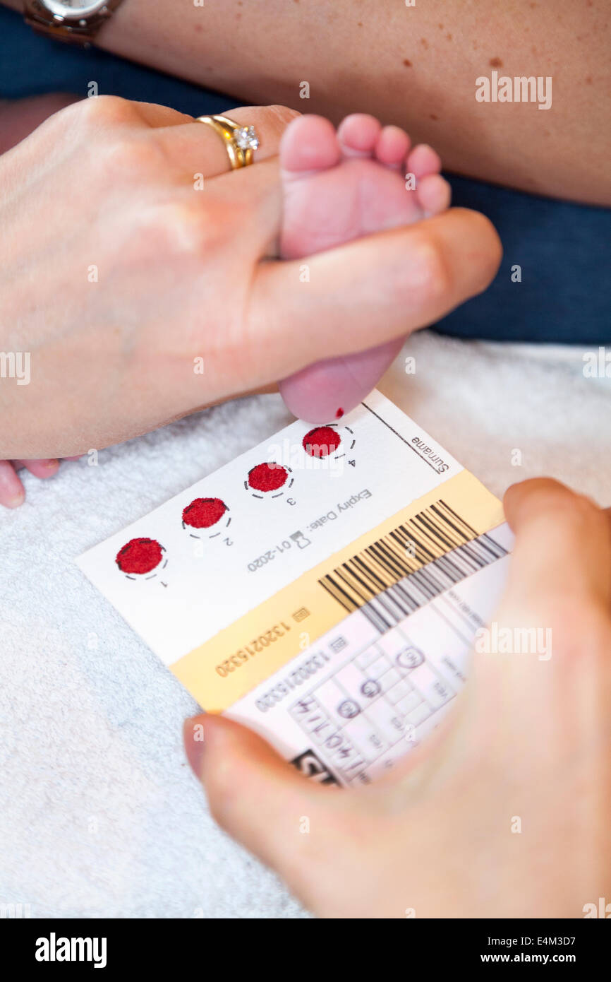 Nouveau Ne Bebe Nouveau Ne Subit Un Depistage Neonatal Heel Prick Test Guthrie Ou Le Sang Chute Automne D Une Goutte De Sang Tombe Sur Une Carte De Guthrie Uk Photo Stock