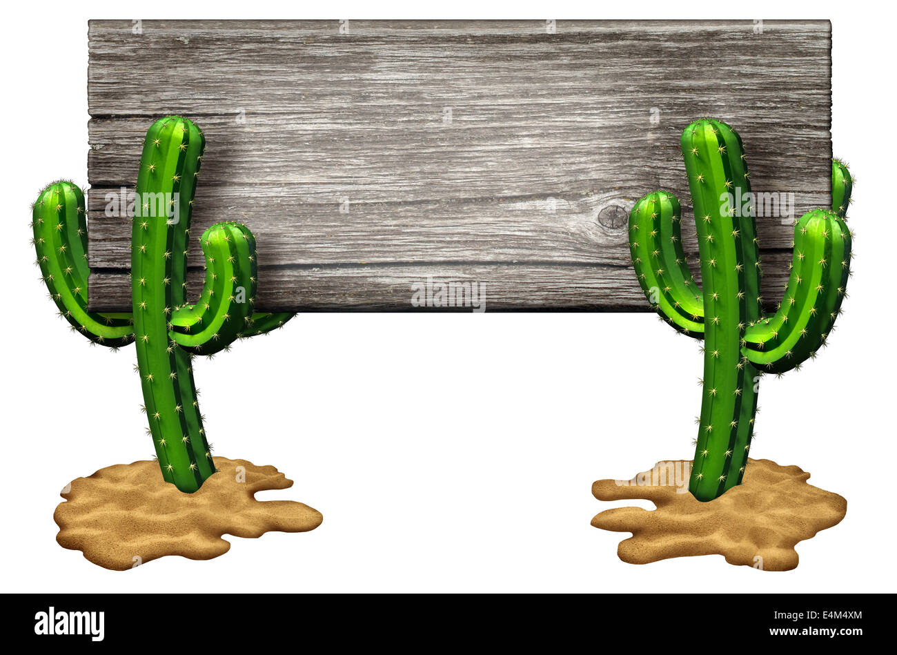 Cactus signe comme deux plantes Cactus sur un plancher de sable tenant une vieille bannière rustique en bois isolé sur blanc comme symbole du marketing et de la publicité de temps chaud et sec et aride dans le sud-ouest de l'habitat de certaines parties de l'amérique du nord comme le Texas et le Mexique. Banque D'Images