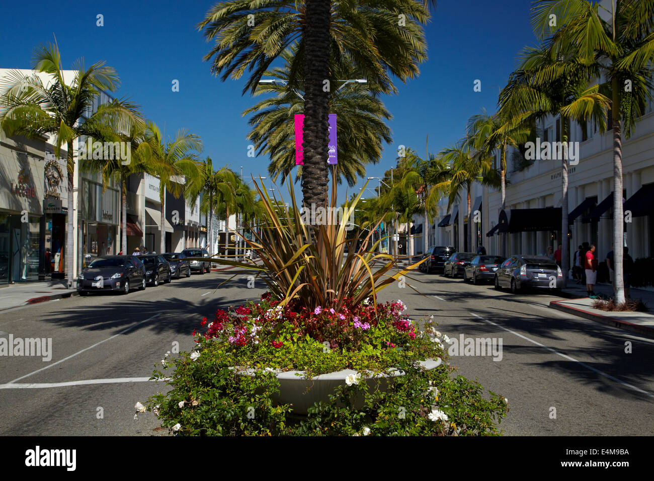 Palmiers sur Rodeo Drive, la rue commerçante de luxe à Beverly Hills, Los Angeles, Californie, USA Banque D'Images