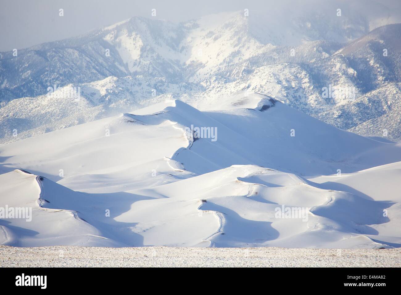 Great Sand Dunes National Park recouverts de neige en hiver. Banque D'Images