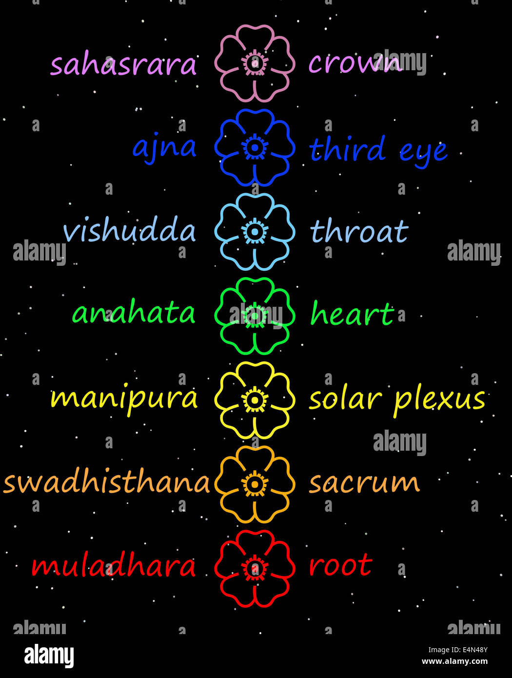 Fleurs de couleur dans la colonne chakra Banque D'Images