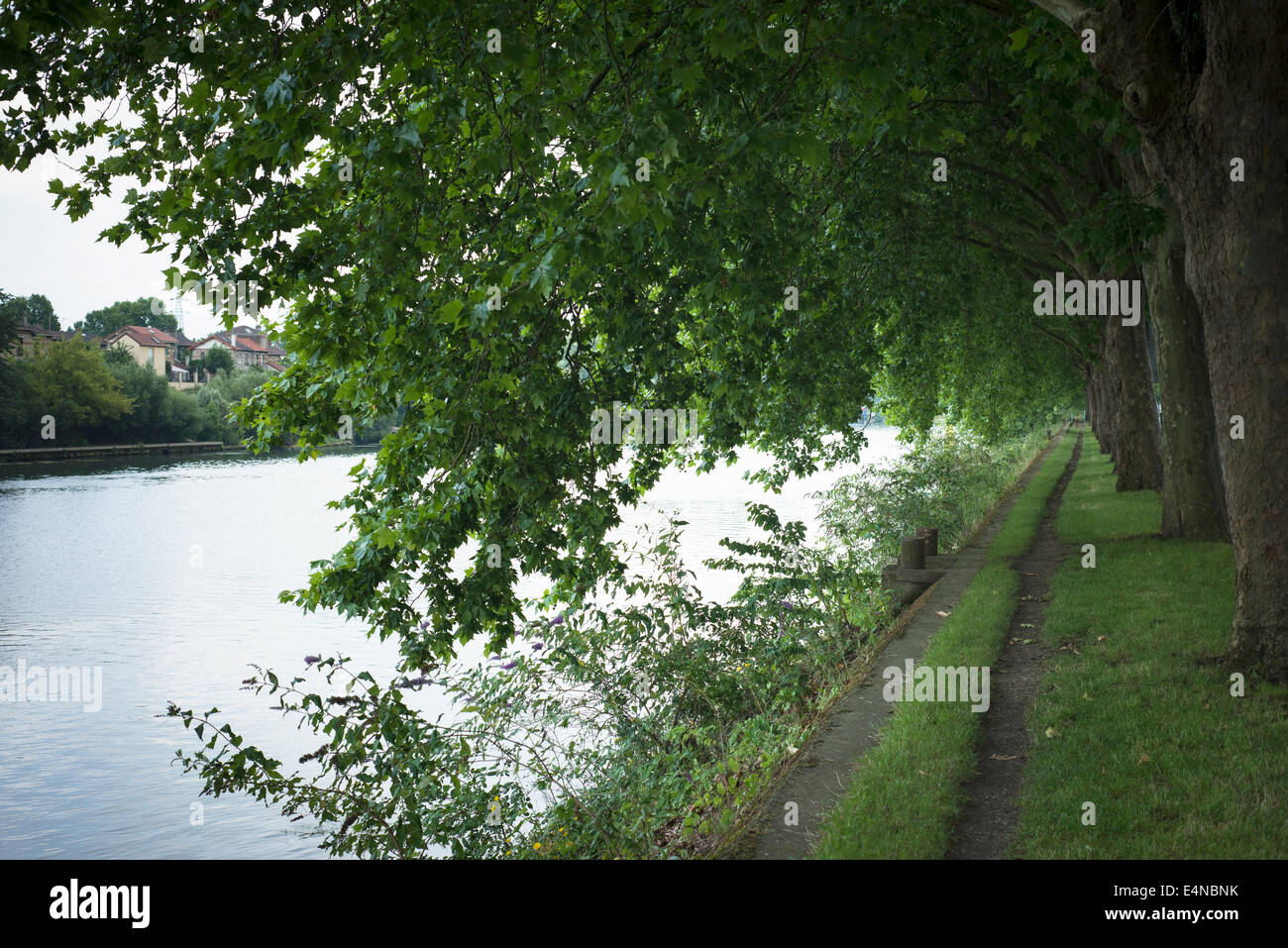 'Histoire des impressionnistes" à l'intérieur comme à l parc naturel de l'ile saint-denis, la banlieue parisienne, France. Banque D'Images