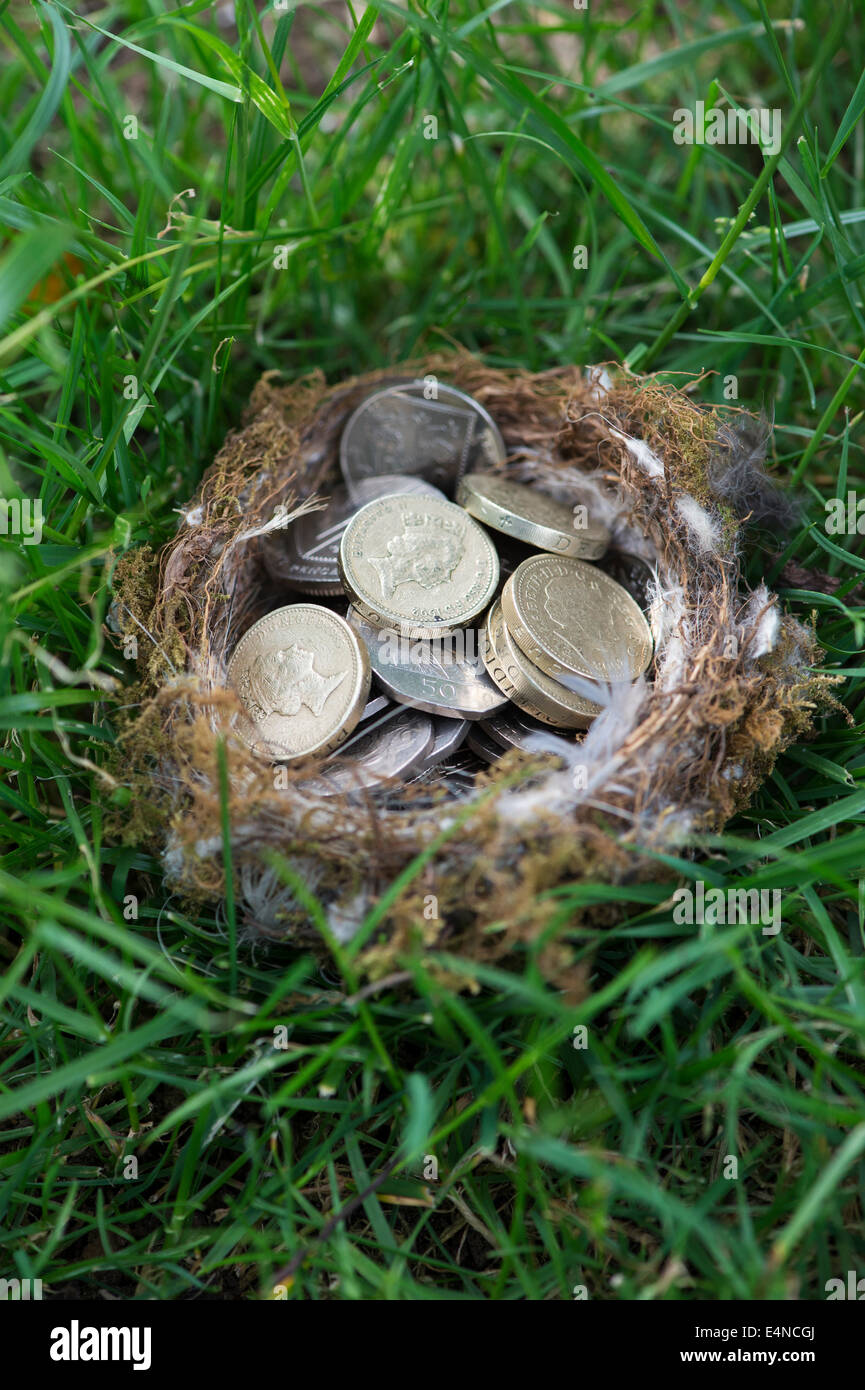 Anglais Pièces dans une oiseaux nichent sur l'herbe Banque D'Images