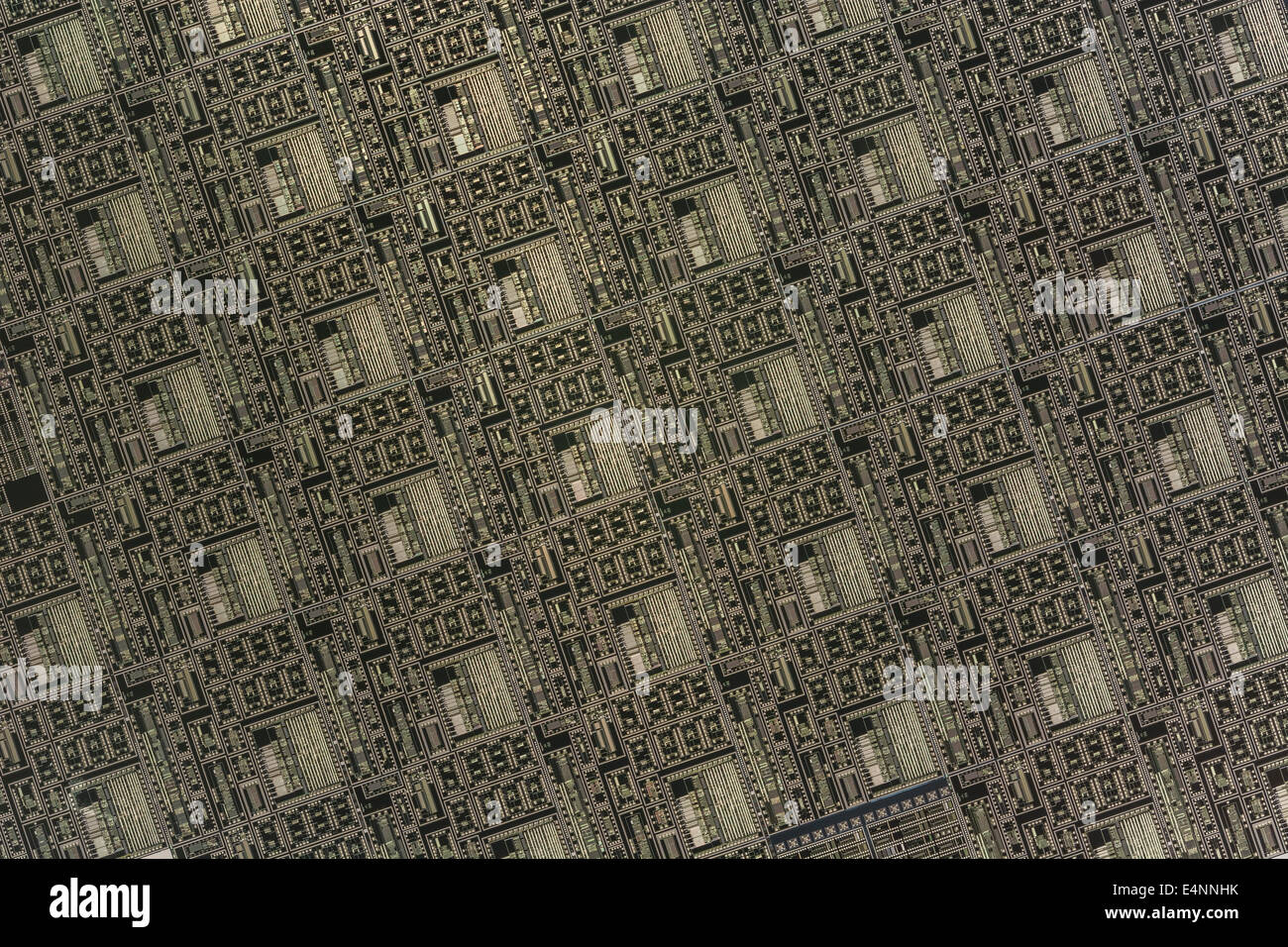 Macro-photo de puces de microcircuit sur galette de silicium. Pour la technologie numérique , les micro-circuits, le concept Tiny, les puces de silicium, la pénurie de micropuces de Russie Banque D'Images
