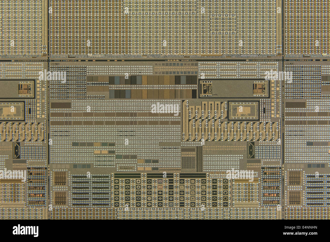 Macro-photo de puce de microcircuit sur gaufre de silicium. Concept de technologie numérique, micro-circuits, concept minuscule, puces en silicone, circuit de gros plan Banque D'Images
