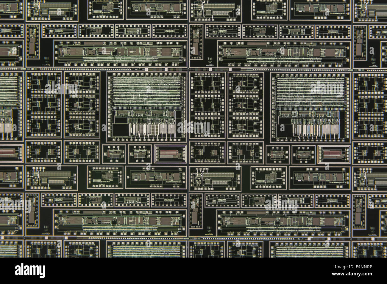 Macro-photo de 2 puces microcircuits sur gaufre de silicium. Concept de technologie numérique, micro-circuits, concept minuscule, puces en silicone, circuit de gros plan Banque D'Images