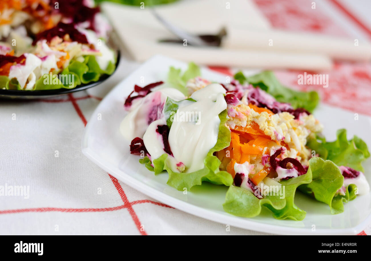 Avec salade de légumes et de hareng Banque D'Images