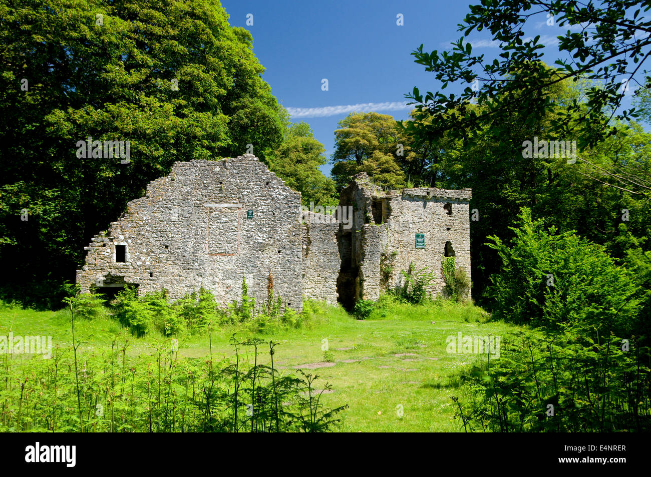 Candelston Château manoir fortifié Merthyr Mawr 14e siècle vieille ruine warren historique warrens de galles ; gallois ; Royaume-Uni ; united king Banque D'Images