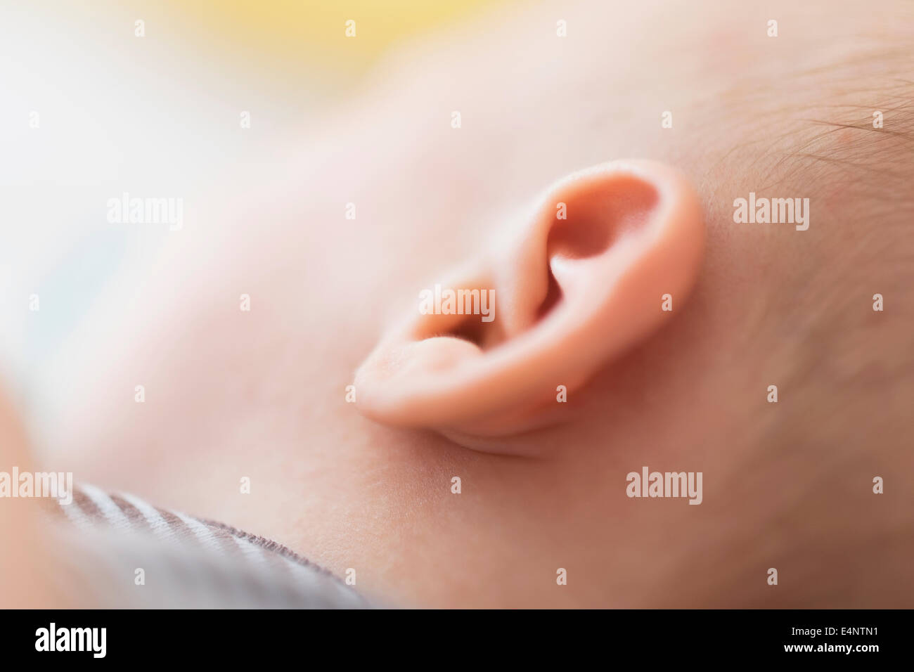 Close up of Baby Boy's (2-5 mois) oreille Banque D'Images