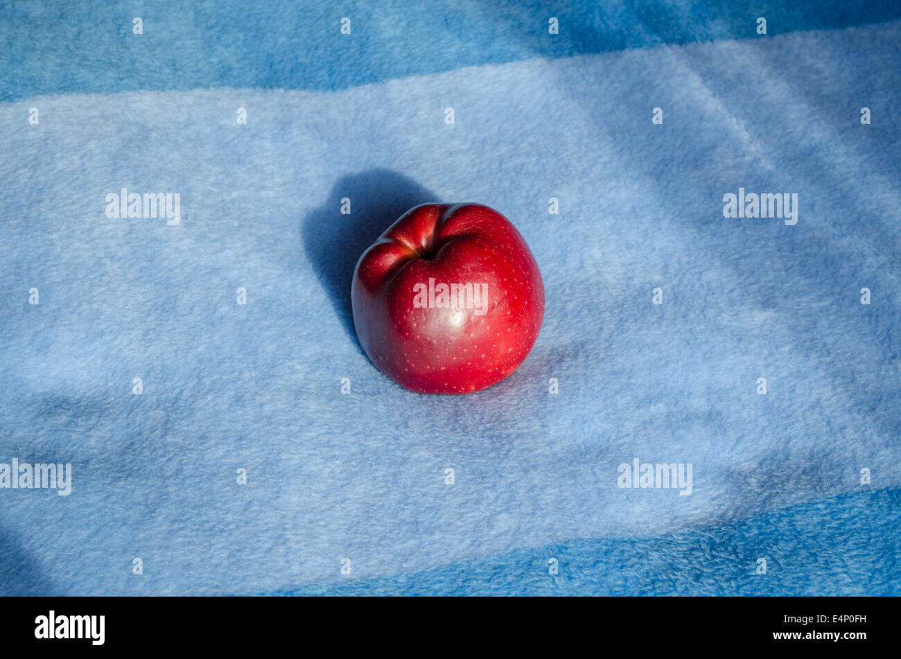 Grande pomme mûre rouge couché sur la surface bleue Banque D'Images