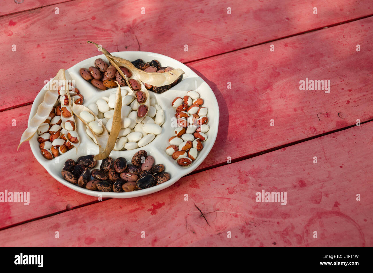 Mélange de haricots colorés secs plaque d'argile avec les sections sur l'extérieur de la table en bois peint rouge Banque D'Images
