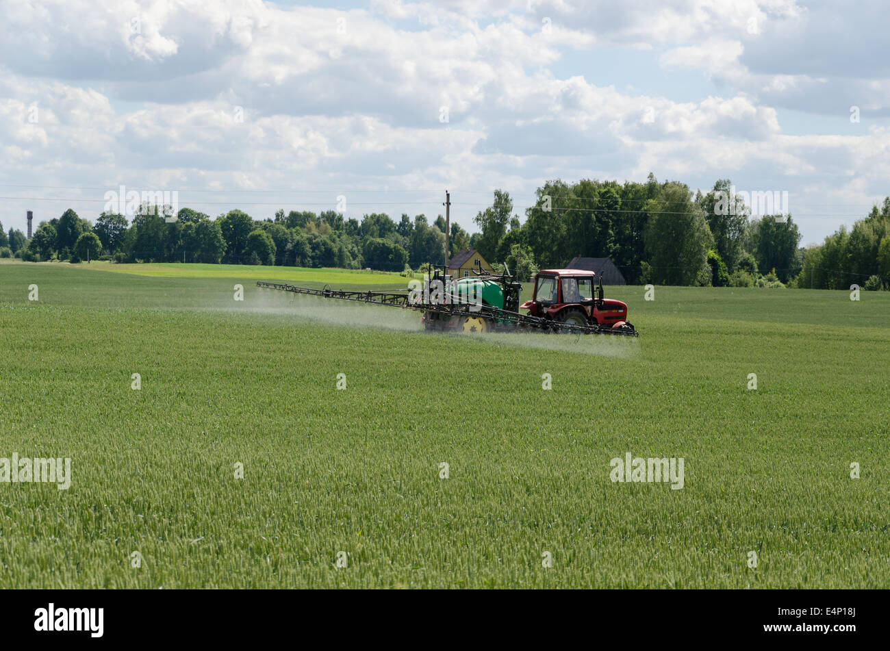 Tracteur Machine avec équipement spécial fertiliser l'agriculture céréales de blé champ de la plante en été. Banque D'Images