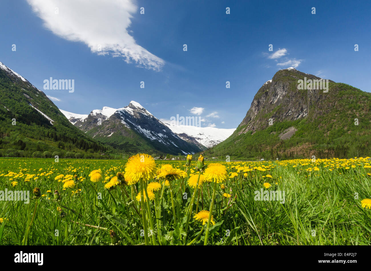 Landschaft im Boeyadalen, Sogn og Fjordane Fylke, Norwegen, Banque D'Images