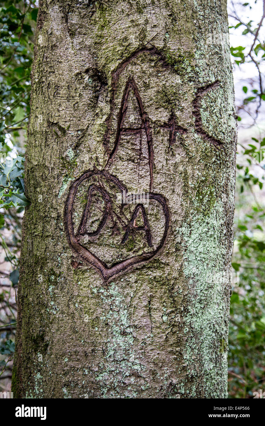 Vœu d'amour, taillée dans un arbre, des initiales dans un cœur, Banque D'Images