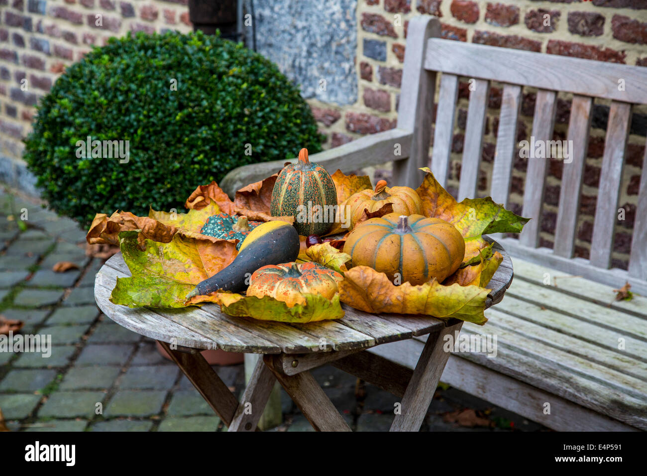 Décoration d'automne dans un jardin avec des citrouilles, des feuilles et des plantes Banque D'Images