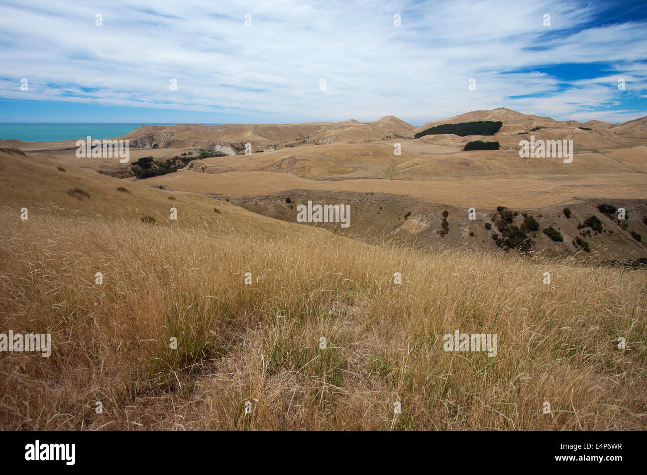 Paysage désertique de Cape Kidnappers Banque D'Images