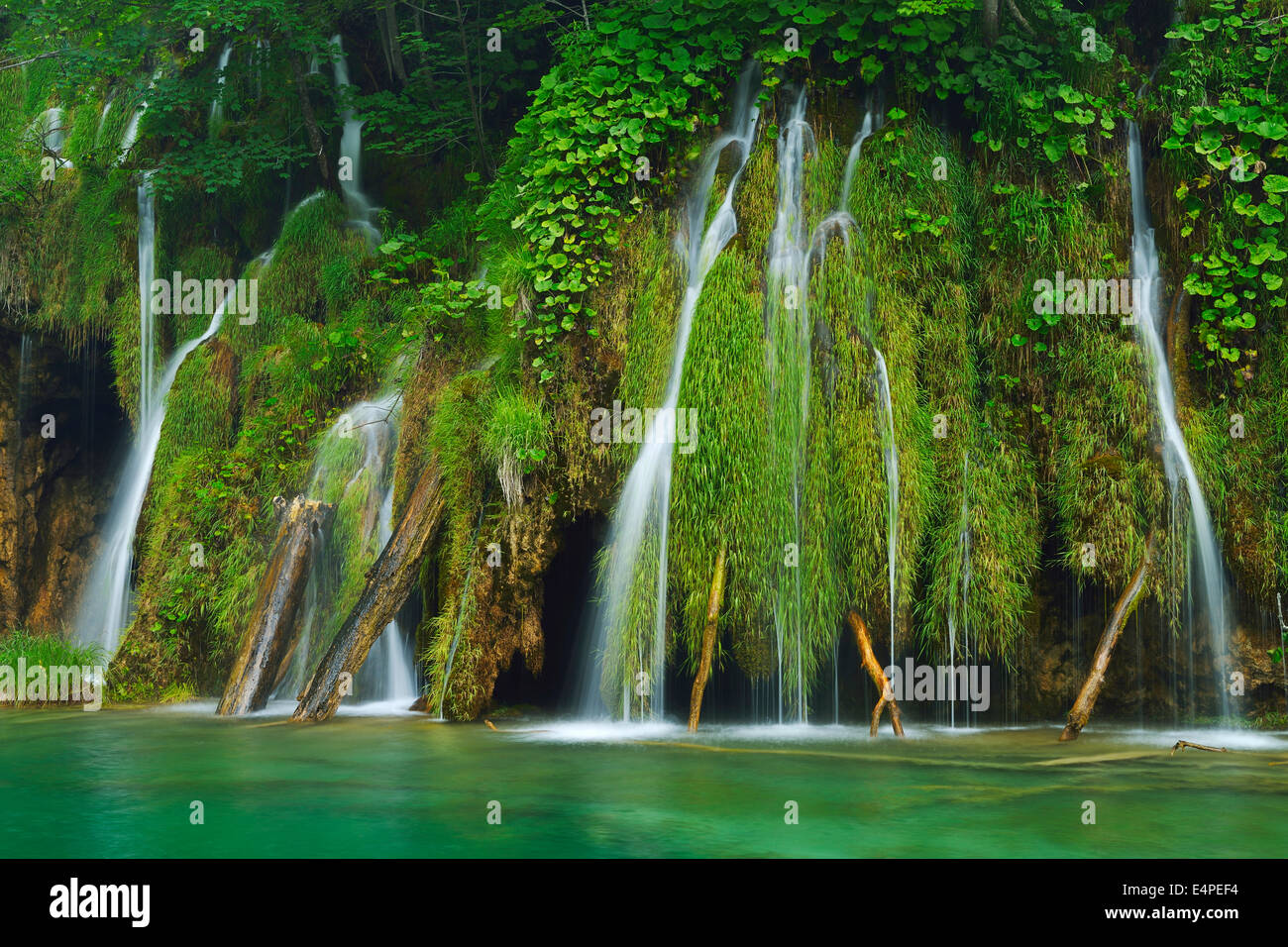 Chute d'eau, le parc national des Lacs de Plitvice, Plitvice Jezera Lika-Senj, Croatie, Banque D'Images