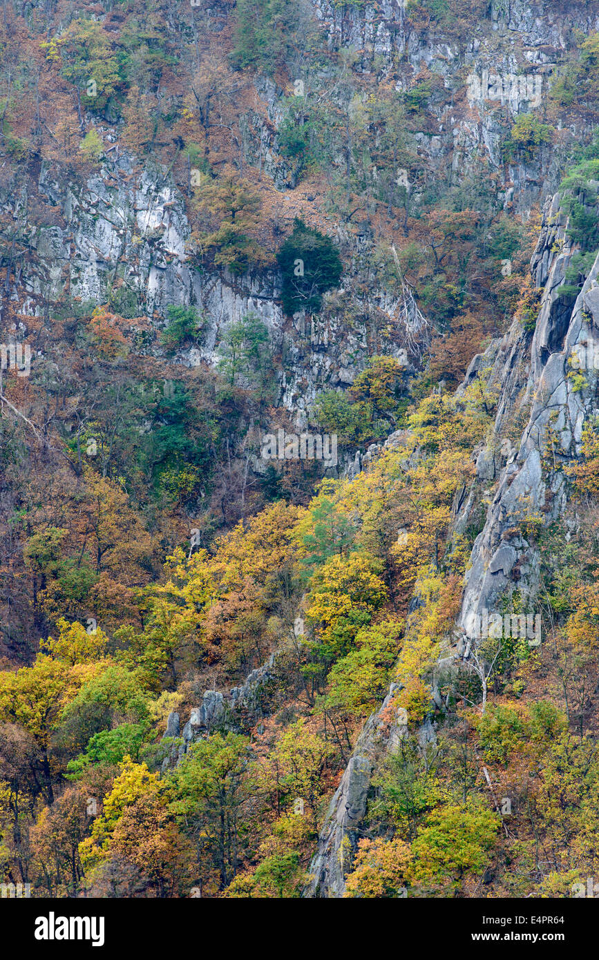 Vue depuis hexentanzplatz à vallée de Bode (bodetal), résine, résine, SAXE-ANHALT, Allemagne Banque D'Images