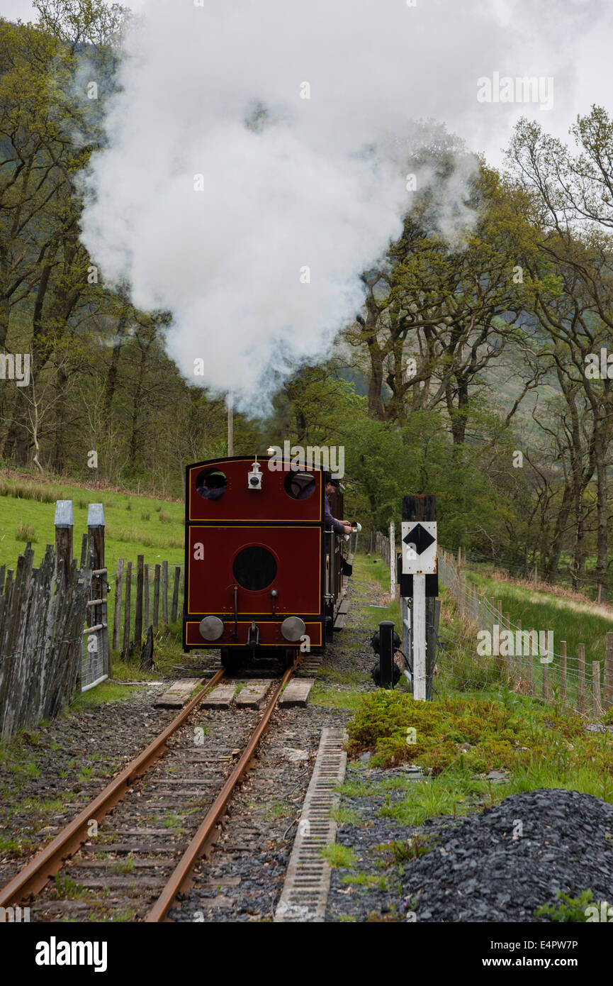 L'Corris narrow gauge steam railway, Snowdonia Powys Pays de Galles UK Banque D'Images