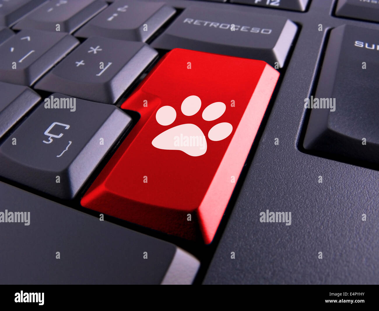 Photo d'un clavier avec des symboles de nice. Banque D'Images