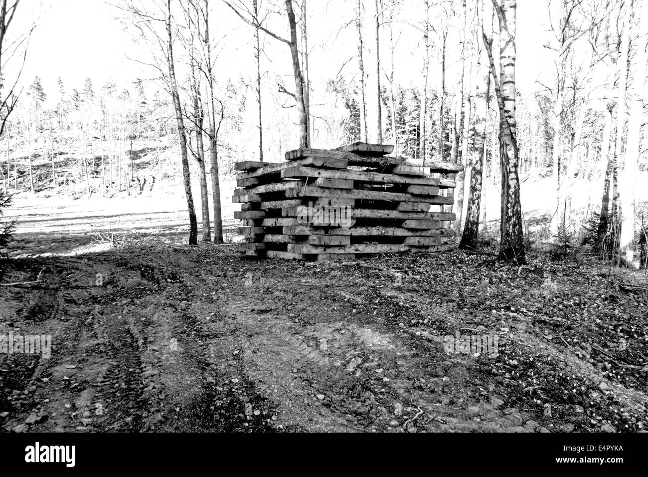 Pile de bois séchage à façon Banque D'Images