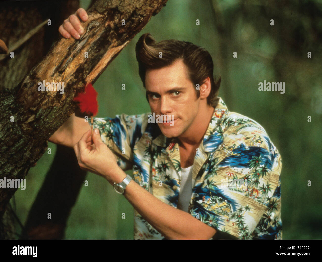 ACE VENTURA : QUAND LA NATURE APPELLE 1995 Warner Bros film avec Jim Carrey Banque D'Images