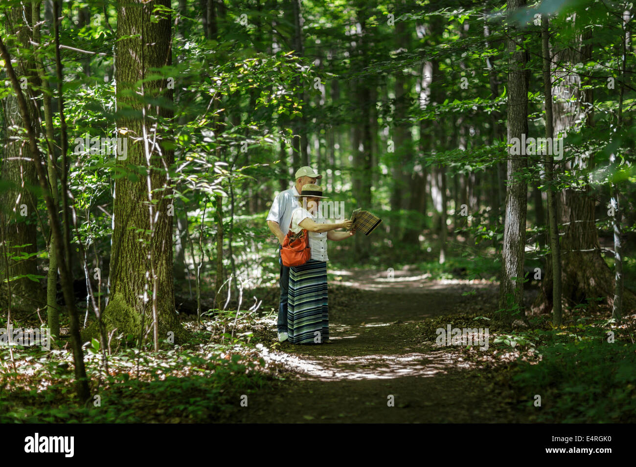 Couple Mormon tours bosquet sacré, Palmyre NY, où Joseph Smith, fondateur de l'église prétendait avoir des visions Banque D'Images
