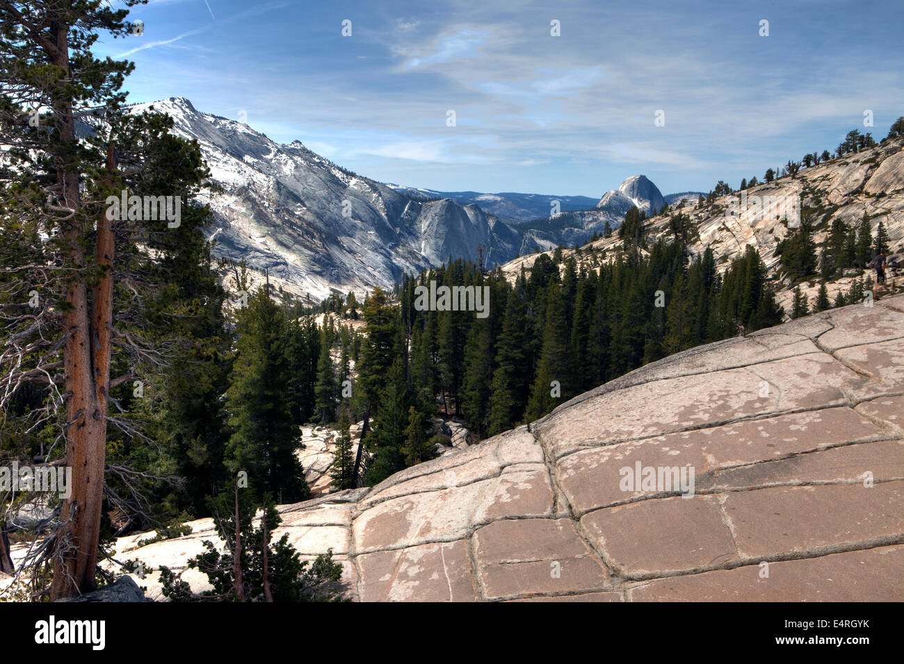 Point d'Olmsted, Yosemite National Park, California, USA Banque D'Images