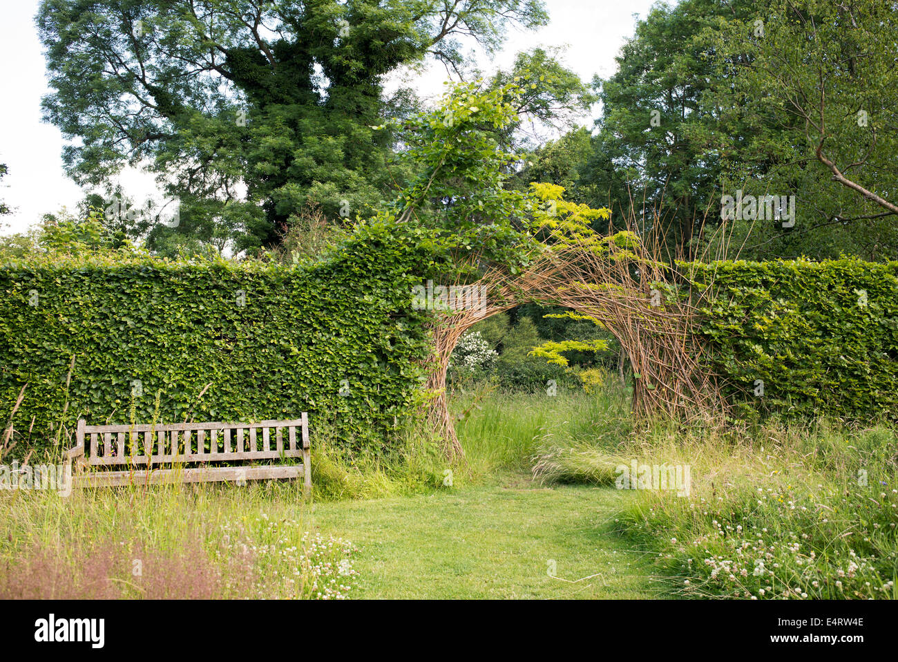 Willow Archway divisant une haie plus de chemin de jardin à Harlow Carr de l'ERS. Harrogate, England Banque D'Images