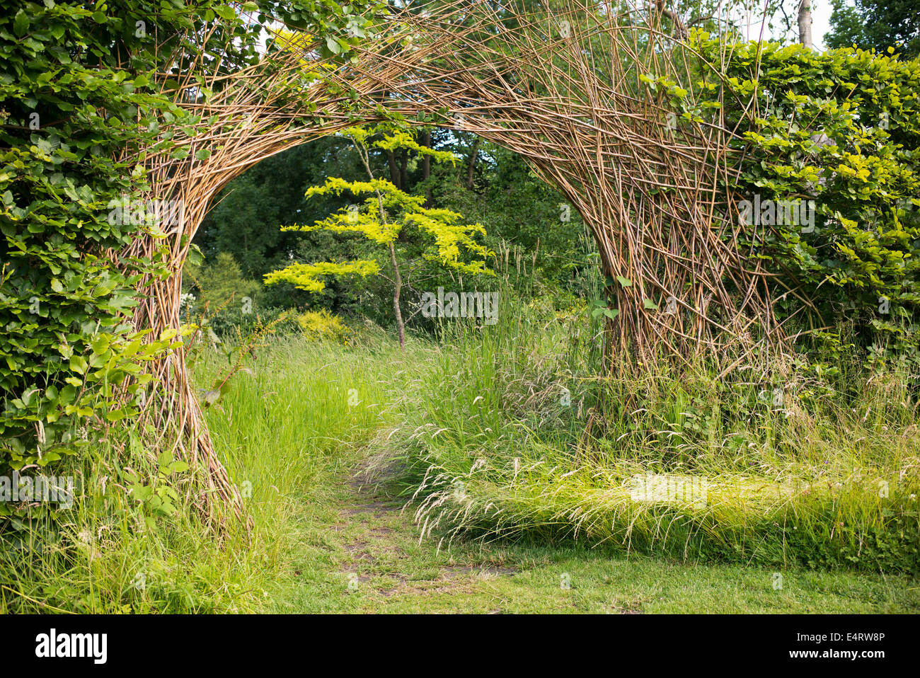 Willow Archway divisant une haie plus de chemin de jardin à Harlow Carr de l'ERS. Harrogate, England Banque D'Images