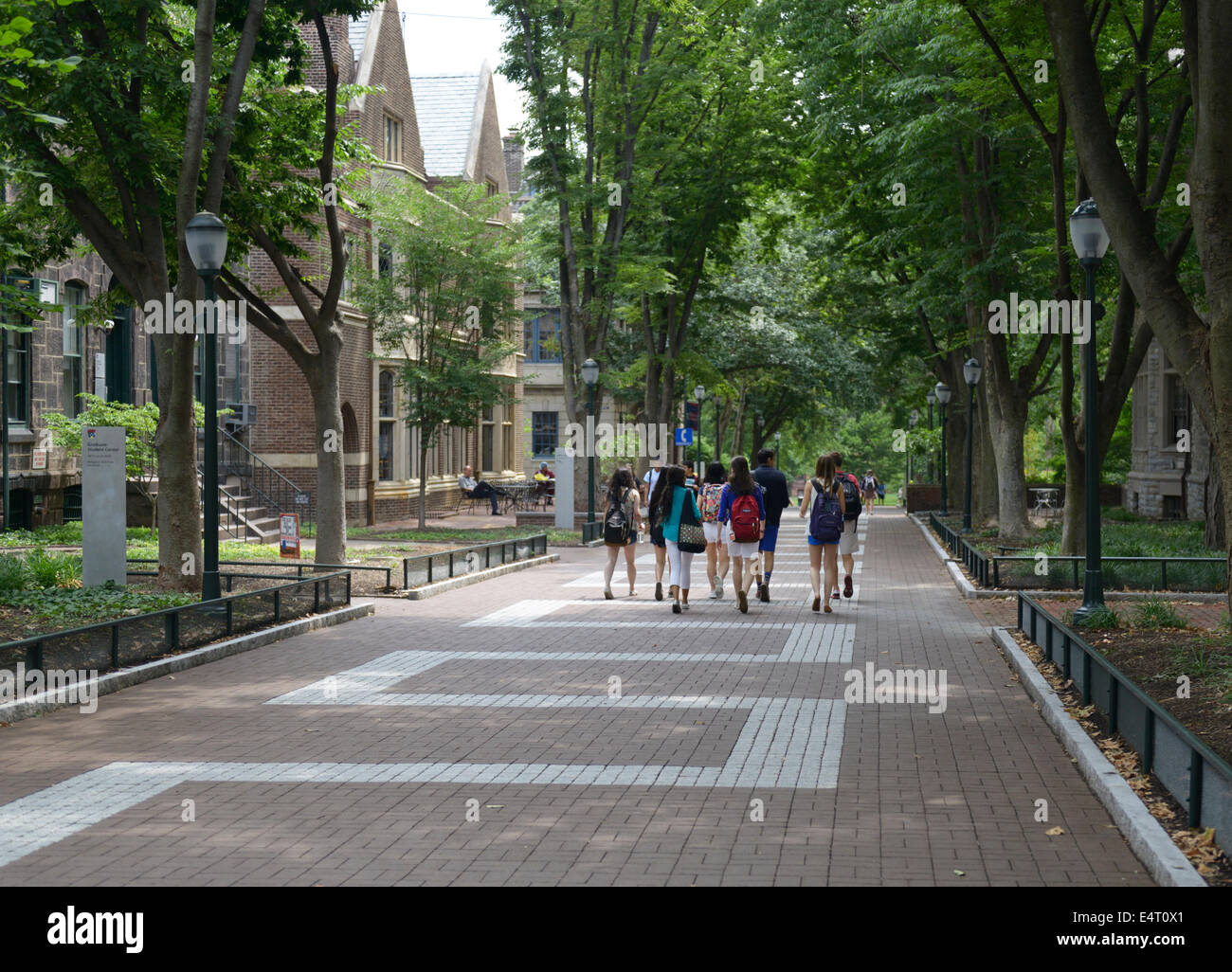 Locust Walk, allée centrale par l'entremise du campus de l'Université de Pennsylvanie, Philadelphie Banque D'Images