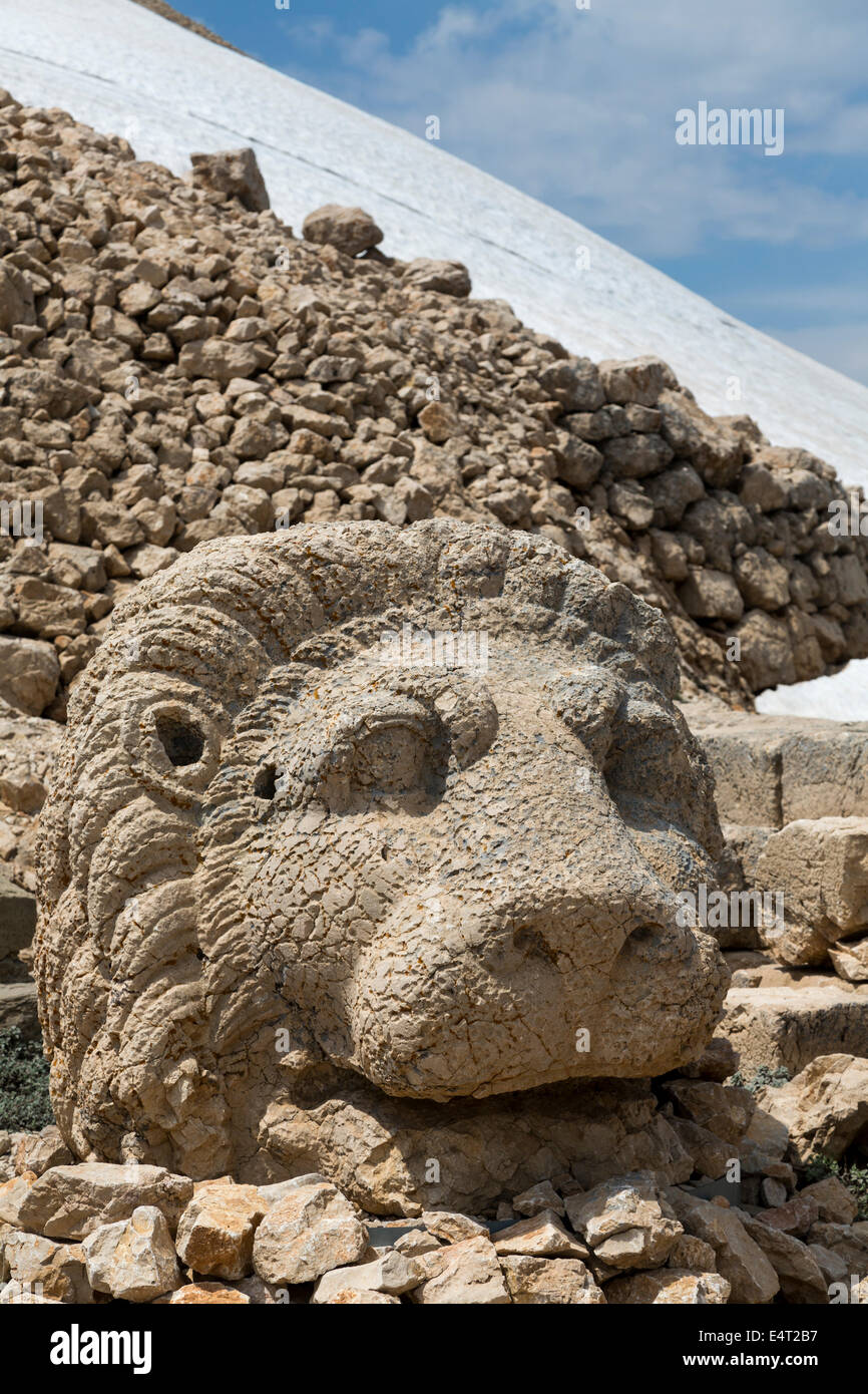Tête de lion colossal, terrasse est, ou Nemrut Nemrud Dagh, Anatolie, Turquie Banque D'Images