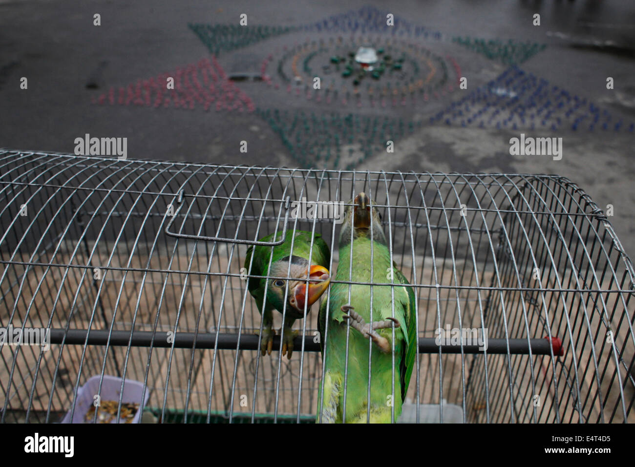 Dhaka, Bangladesh. 16 juillet, 2014. La formation d'un étudiant fait du Bangladesh, à l'aide de Toy Soldiers, représentant l'étoile de David au cours d'une manifestation d'étudiants de l'Université de Dacca contre l'attaque israélienne sur Gaza à Dhaka zakir Hossain Chowdhury Crédit : zakir/Alamy Live News Banque D'Images