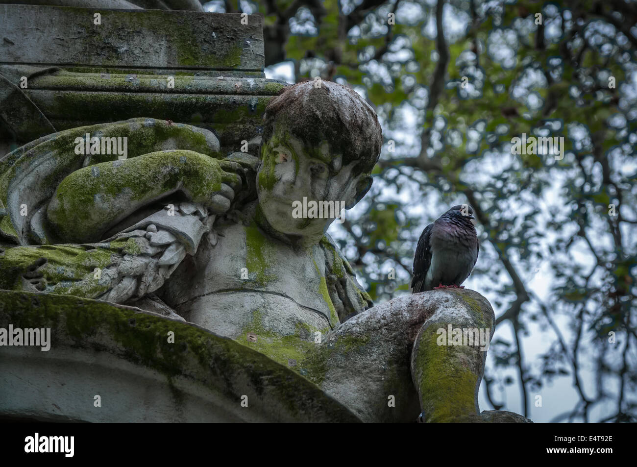 Un pigeon est assis sur les genoux de la statue d'un garçon couverts de mousse . Banque D'Images