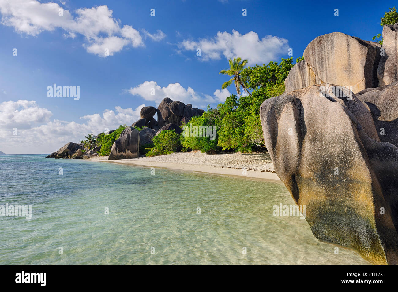 Des formations rocheuses et des palmiers, Anse Source d'argent, La Digue, Seychelles Banque D'Images